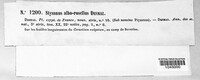 Image Associated With the Occurence